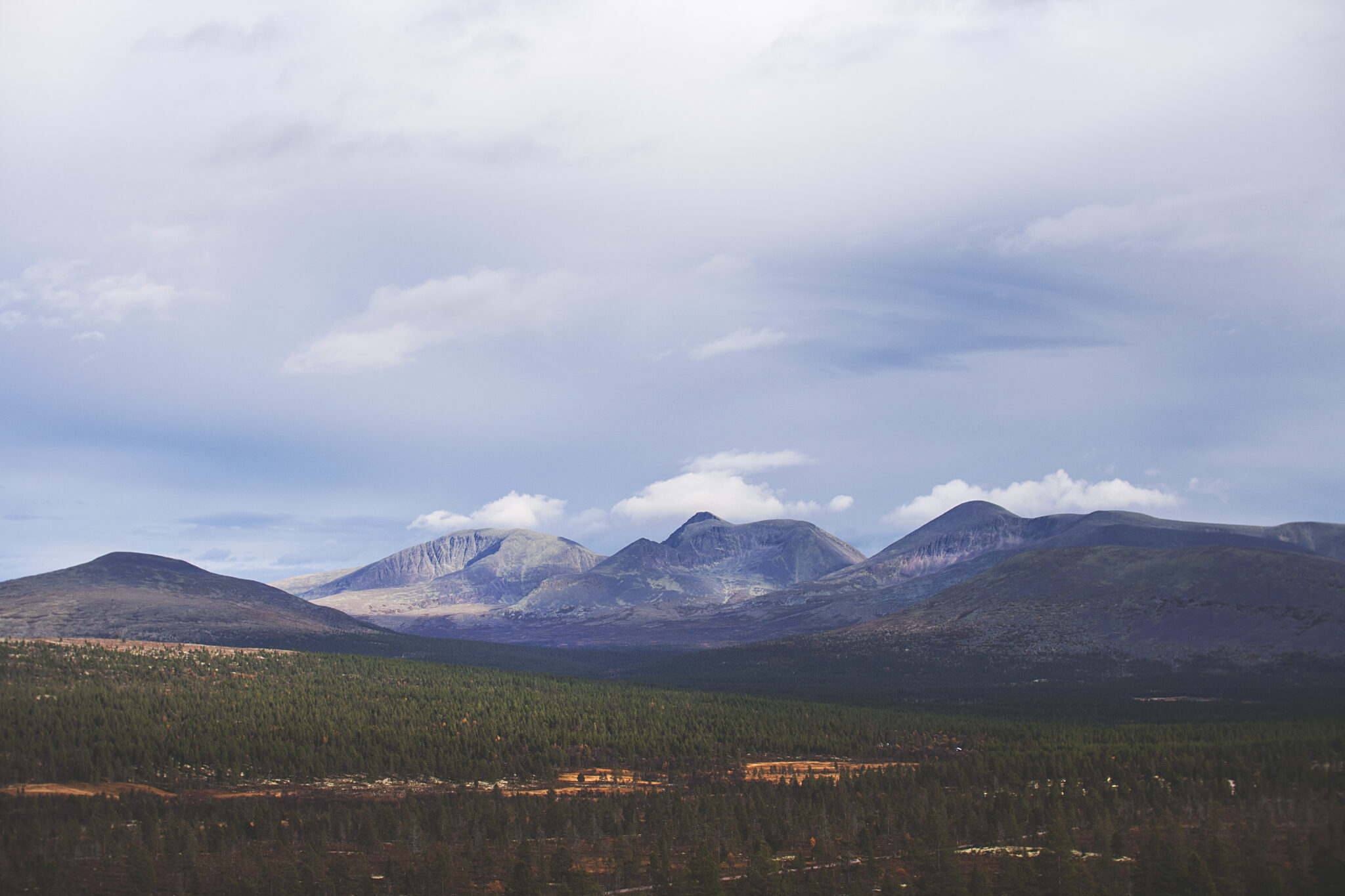 Alt snakket om tilflytting – men hva gjør vi i praksis?